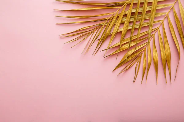 金黄色的棕榈叶框，热带叶纹理粉红色背景与复制空间。漆成的黄金为文字留下了空间。夏季花卉背景 — 图库照片