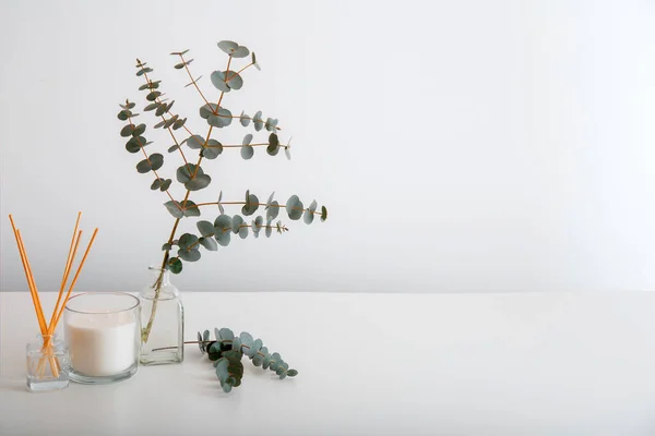 Aromatic rumah parfum tongkat, udara segar lilin dan karangan cabang eukaliptus dalam vas dinding putih di atas meja. Elemen kenyamanan interior dan aromatherapy rumah dengan ruang fotokopi. — Stok Foto