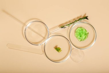 Bej arka planda petri kabında kozmetik cilt ürünleri. Aloe kozmetik için doğal kozmetik ürünleri. Laboratuvar cam test tüpündeki tıbbi şifalı bitkiler. Üst görünüm