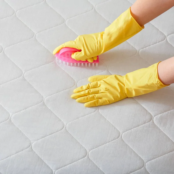 Cleaning company Employee hand cleans surface of mattress on bed with brush. Cleaning disinfection surfaces. Hand in glove do Mattress chemical cleaning. copy space square