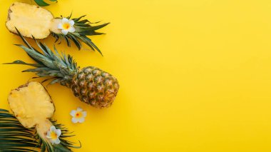 Tropikal yaz ananas meyveleri ve tropikal plumeria çiçekleriyle dilimlenmiş ananas yarımları sarı renkli yaz arkaplanının üzerinde beste yapıyorlardı. Kopyalama alanı olan uzun web pankartı