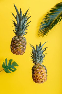 Sarı renkli yaz arka planında ananas ve palmiye yaprakları. Tropik yaz meyveleri yükselen ananaslar.