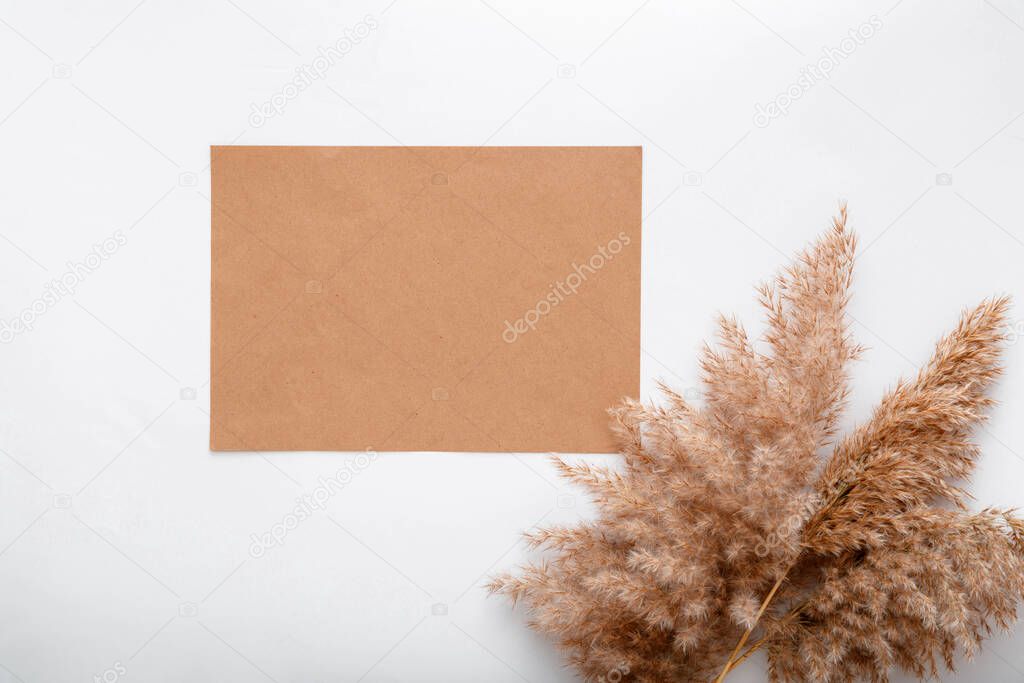 Earthy beige color blank craft paper card note invitation mockup with dry bloom Reed pampas branch. Mockup blank for wedding greeting card. Elegant space with mockup in frame on white background