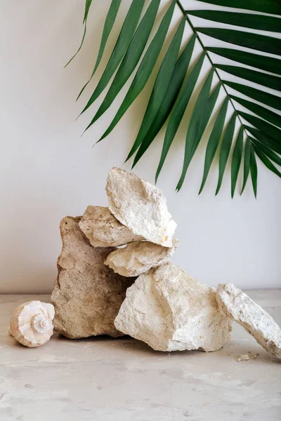 Üres pódiumkövek tornya. Szürke kövek talapzat megjelenítése bézs alapon készült kagyló kövek pálmalevél. Absztrakt háttér Mockup a termék bemutatásához. — Stock Fotó