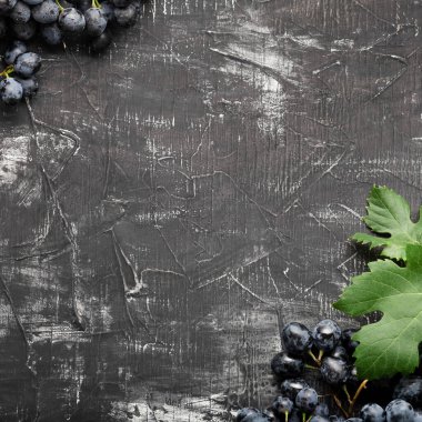 Siyah üzümlerden yapılmış çerçeve. Siyah aşınmış arkaplanda metin ya da menü için boşluk kopyala. Eskimiş koyu beton arka planda siyah sulu üzümler. Kare fotoğraf