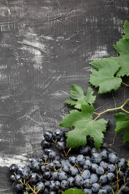 Siyah üzümlü besin. Eskimiş koyu beton arka planda siyah sulu üzümler. Siyah aşınmış arkaplanda metin ya da menü için boşluk kopyala. Üzüm meyvelerinden yapılmış çerçeve sınırı metin için yer ile