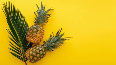 Sarı renkli yaz arka planında ananas ve palmiye yaprakları. Tropik yaz ananasları beste yapar. Kopyalama alanı olan uzun web pankartı