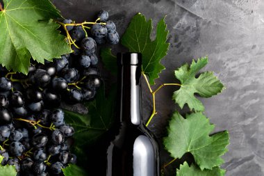 Kırmızı şarap şişesi, siyah üzüm, yapraklı üzüm demetleri ve koyu kırsal beton arka planda sarmaşık. Düz şarap kompozisyonu siyah taş tebeşir masa üzerinde yatıyordu.