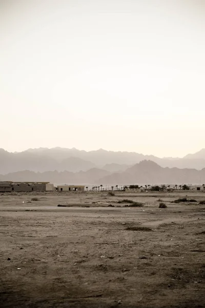 エジプトの風景熱帯のヤシの木のシルエットサンディ砂漠の山と家農村風景。砂漠にヤシの木がある旧市街. — ストック写真