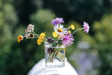 Dışarıda cam kırıkları var. Bir buket yabani çiçek, doğanın yeşil arka planında vazoda çok renkli otlar. Yaz çiçekleri vazoda