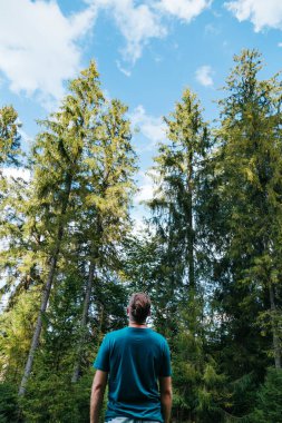 Ormanda tanınmayan bir adam kozalaklı ağaçlara ve mavi gökyüzüne karşı. Yürüyüş ve insanların doğayla bütünlüğü. Kafkasyalı genç bir adam, dağlarda kozalaklı ormanları olan parktan manzarası var.