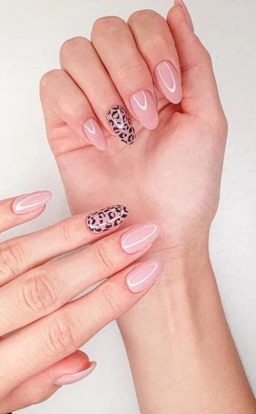 Prachtige Roze Manicure Met Luipaard Design Vrouwelijke Vingers Met Lange — Stockfoto