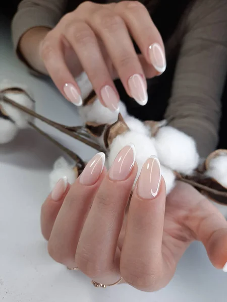 Manicura Francesa Delicada Contexto Algodão Design Francês Mãos Mulher Com — Fotografia de Stock