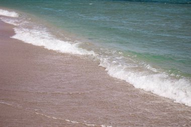 Deniz dalgaları olan kumlu bir plajın arka planı. Kumun üzerindeki bir dalgadan köpük. Deniz kabuğu sahilinde köpüklü bir okyanus dalgası