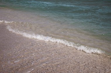 Deniz dalgaları olan kumlu bir plajın arka planı. Kumun üzerindeki bir dalgadan köpük. Deniz kabuğu sahilinde köpüklü bir okyanus dalgası