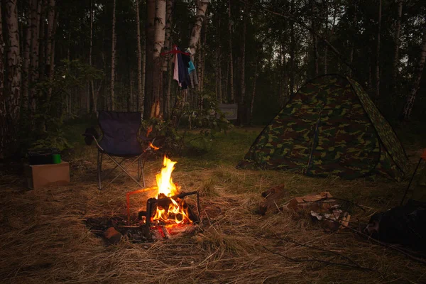 Campamento Nocturno Bosque Con Una Fogata Una Tienda Con Fuego — Foto de Stock