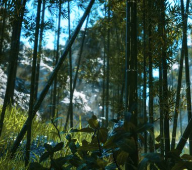 Kayalık ormanda yeşil bambu.