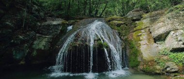 Ormandaki şelale. Su taştan her yönden akıyor..