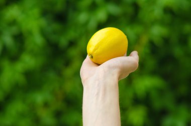 Vejetaryenler ve taze meyve ve sebze Tema niteliğine: limon yeşil çim bir arka plan üzerinde tutan eller