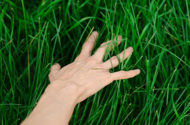 Bahar ve gevşeme Tema: bir genç taze yeşil çim Bahçe insan eli dokunur