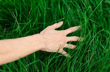 Bahar ve gevşeme Tema: bir genç taze yeşil çim Bahçe insan eli dokunur