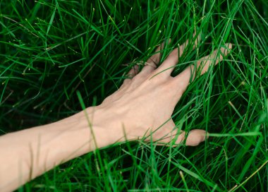 Bahar ve gevşeme Tema: bir genç taze yeşil çim Bahçe insan eli dokunur