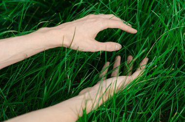 Bahar ve gevşeme Tema: bir genç taze yeşil çim Bahçe insan eli dokunur