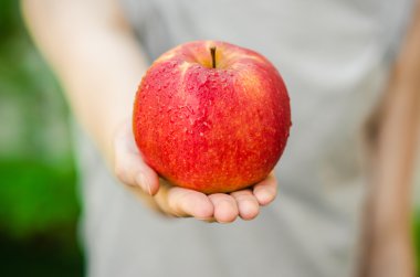 Vejetaryenler ve taze meyve ve sebze Tema niteliğine: yeşil çim bir arka plan üzerinde kırmızı elma tutan eller