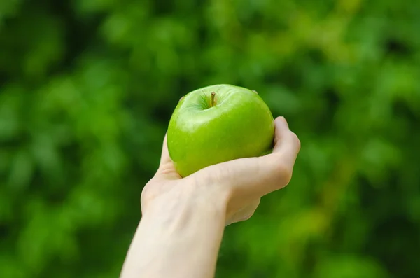 Vegetarianos y frutas y verduras frescas sobre la naturaleza del tema: mano humana sosteniendo una manzana verde sobre un fondo de hierba verde —  Fotos de Stock