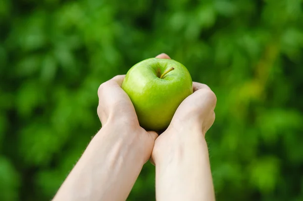 Vegetarians and fresh fruit and vegetables on the nature of the theme: human hand holding a green apple on a background of green grass — Stock Photo, Image