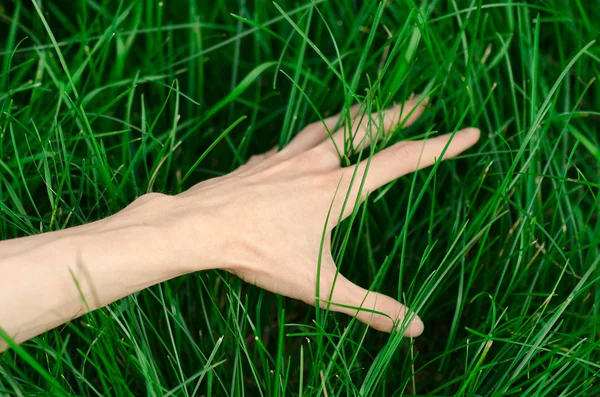 Tema de primavera y relajación: la mano humana toca una hierba verde fresca joven en el jardín — Foto de Stock