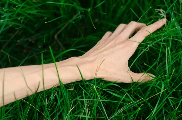 Tema de primavera y relajación: la mano humana toca una hierba verde fresca joven en el jardín — Foto de Stock