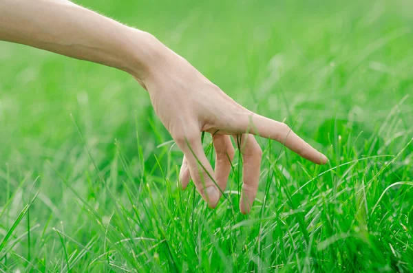 Wiosna i relaks tematu: ludzkiej ręki dotyka młodych świeżej zielonej trawie w ogrodzie — Zdjęcie stockowe