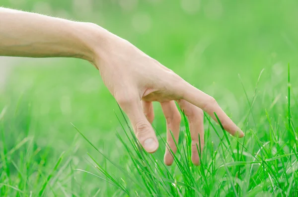 Tema de primavera y relajación: la mano humana toca una hierba verde fresca joven en el jardín — Foto de Stock