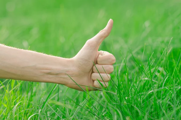 春とリラクゼーションのテーマ: 人間の手に触れる庭で若い新鮮な緑の草 — ストック写真