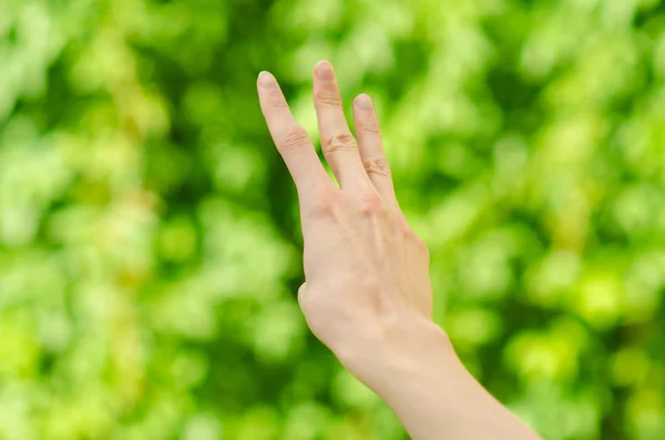 Primavera y naturaleza tema: mano del hombre mostrando gesto sobre un fondo de hierba verde en la primavera, vista en primera persona — Foto de Stock