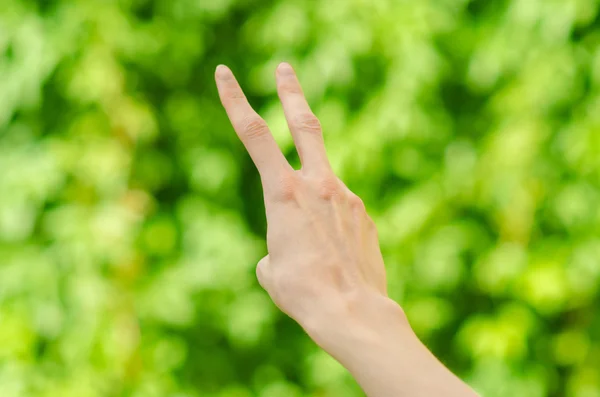Wiosna i charakteru tematu: ręka mężczyzny Wyświetlono gest na tle zielonej trawy w widok wiosna, pierwszej osoby — Zdjęcie stockowe