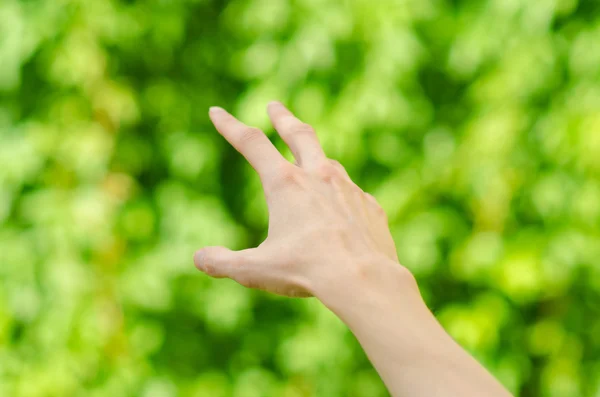 Primavera y naturaleza tema: mano del hombre mostrando gesto sobre un fondo de hierba verde en la primavera, vista en primera persona — Foto de Stock