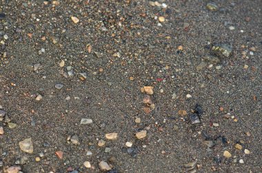 Doku Konu: ıslak deniz kıyısında deniz taşlarla kum