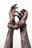 Ruce vázané, krvavé ruce, bláto, lana, na bílém pozadí, izolované, únos, zombie, démon