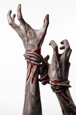 Hands bound,bloody hands, mud, rope, on a white background, isolated, kidnapping, zombie, demon clipart