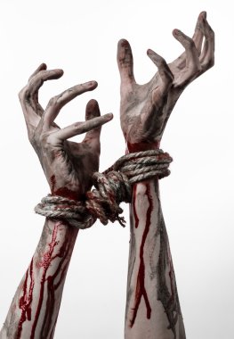 Elleri bağlı, ipe bir beyaz arka plan, izole, adam kaçırma, zombi, şeytan eller, çamur, kanlı