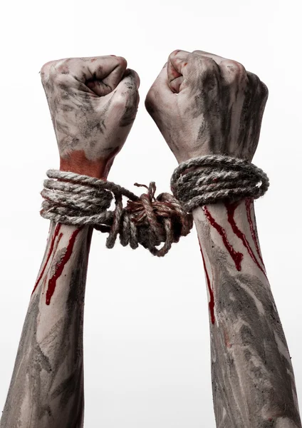 Hands bound,bloody hands, mud, rope, on a white background, isolated, kidnapping, zombie, demon — Stock Photo, Image