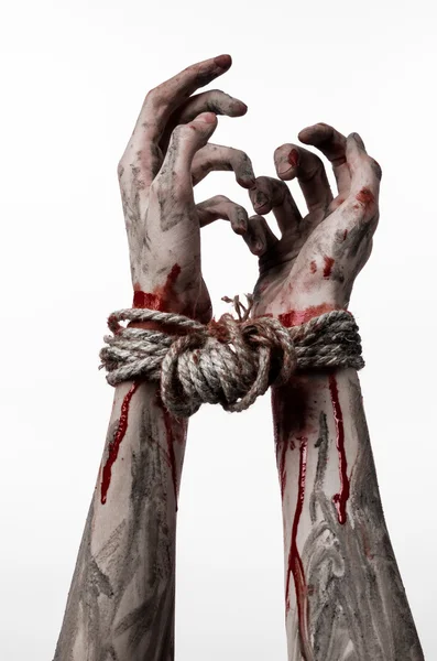 Hands bound,bloody hands, mud, rope, on a white background, isolated, kidnapping, zombie, demon — Stock Photo, Image