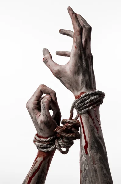 Hands bound,bloody hands, mud, rope, on a white background, isolated, kidnapping, zombie, demon — Stock Photo, Image