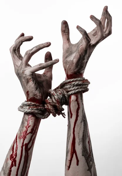 Hands bound,bloody hands, mud, rope, on a white background, isolated, kidnapping, zombie, demon — Stock Photo, Image