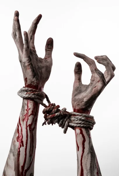 Manos atadas, manos ensangrentadas, barro, cuerda, sobre fondo blanco, aisladas, secuestro, zombi, demonio — Foto de Stock