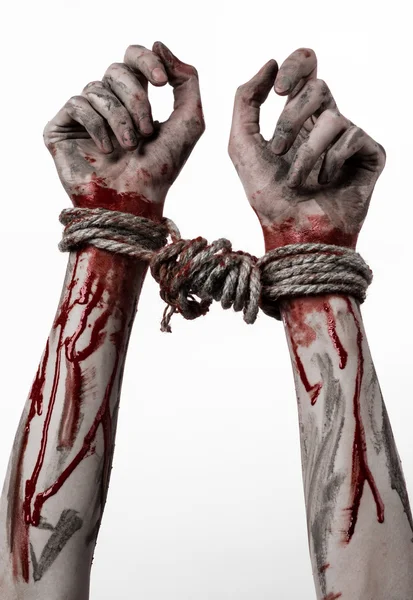 Hands bound,bloody hands, mud, rope, on a white background, isolated, kidnapping, zombie, demon — Stock Photo, Image