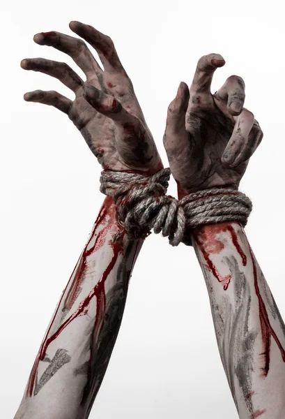 Mãos atadas, mãos ensanguentadas, lama, corda, num fundo branco, isolado, rapto, zombie, demónio — Fotografia de Stock