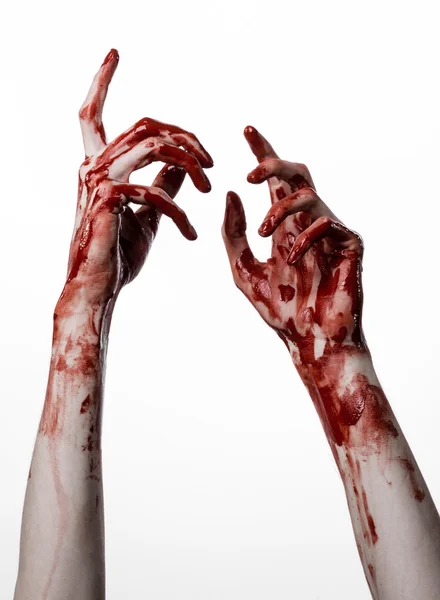 Bloody halloween theme: bloody hands killer zombie isolated on white background in studio — Stock Photo, Image